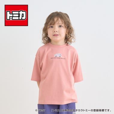292650951