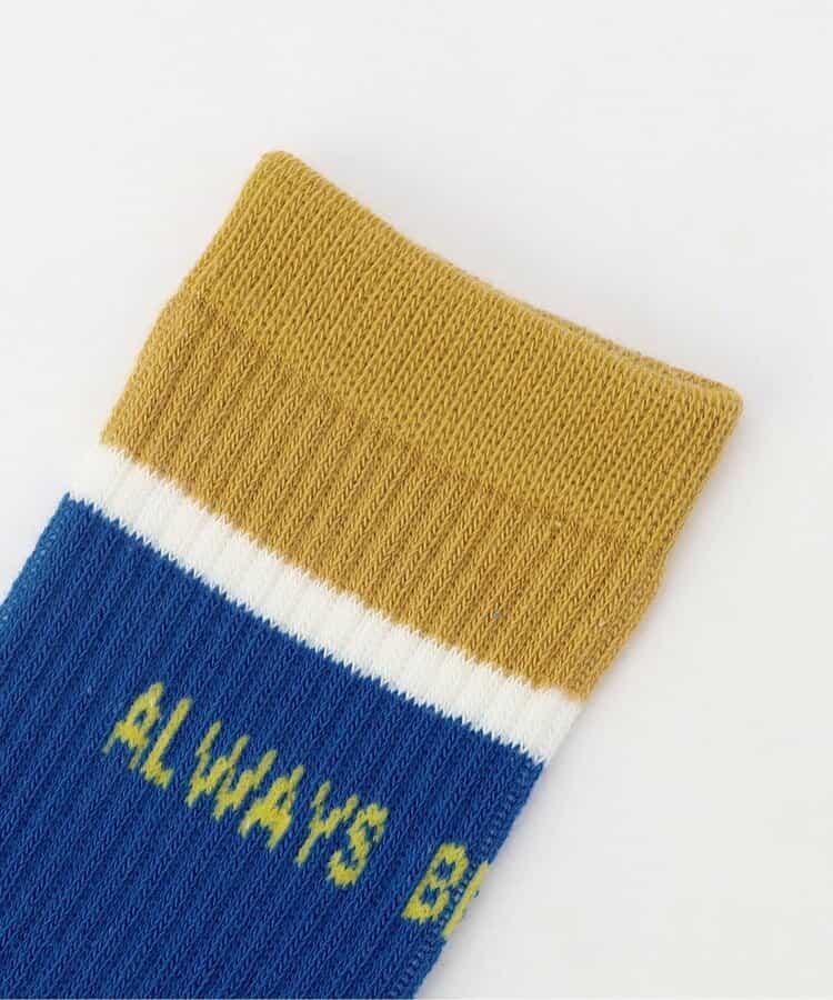 161703041