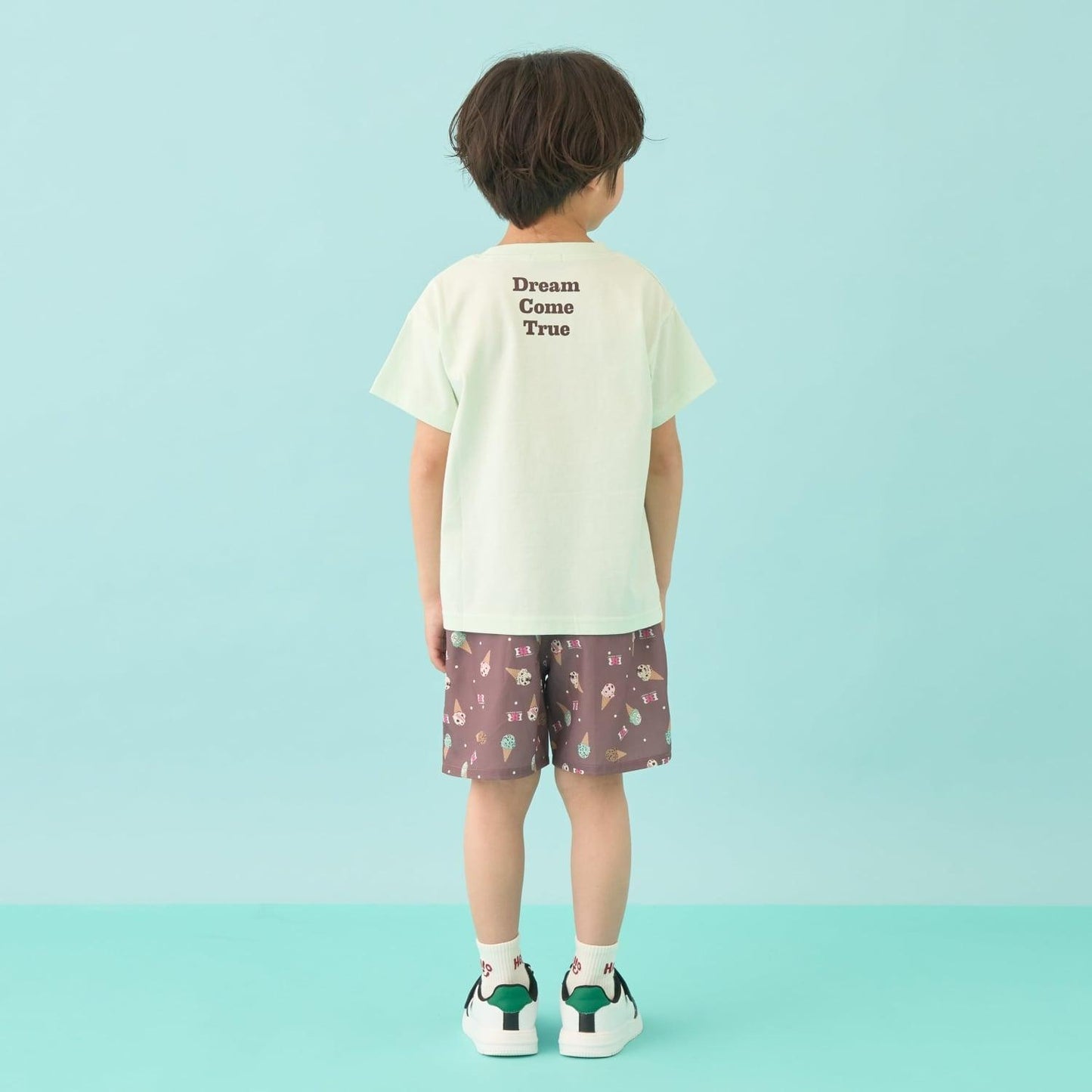 292651169