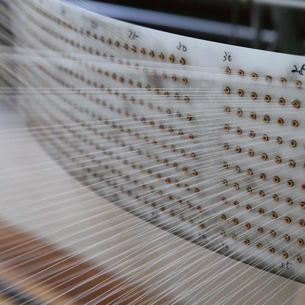 169247301