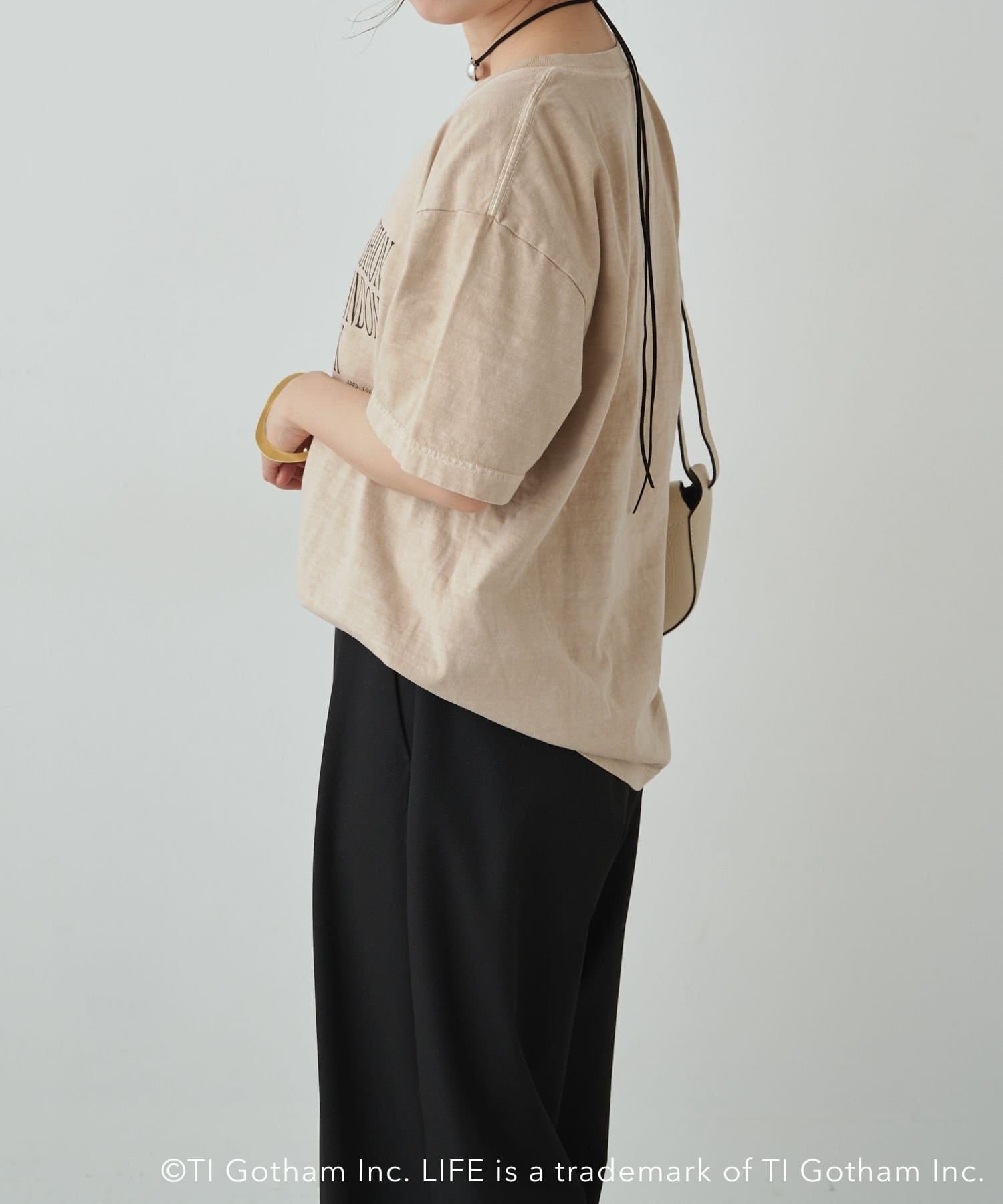 119719256
