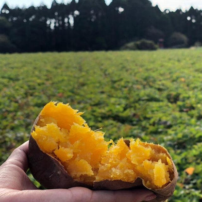 172561961