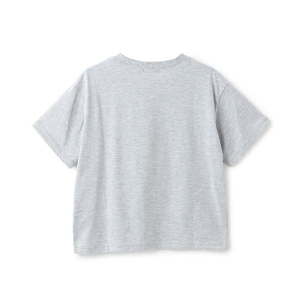 162969363