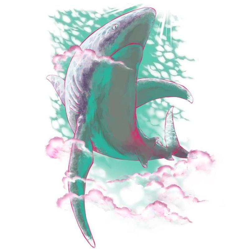 167060204