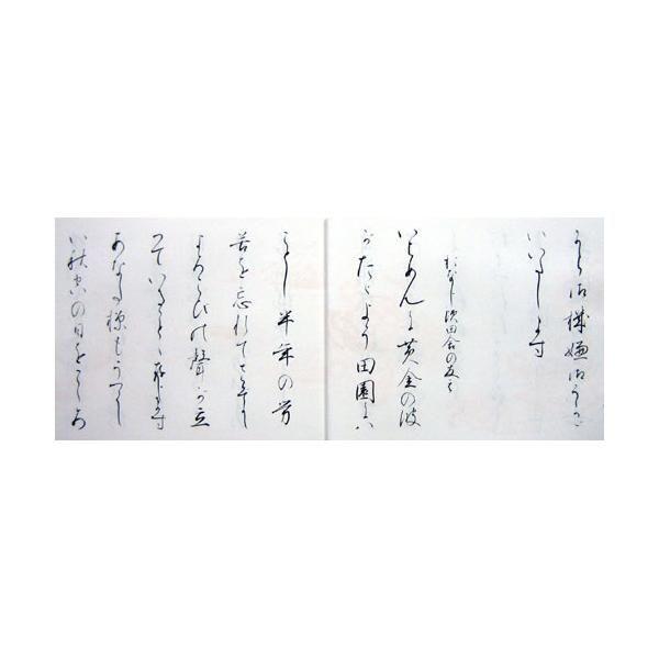 153373306