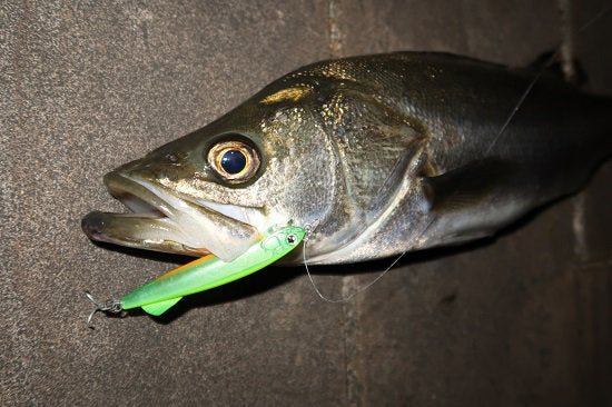 118350759