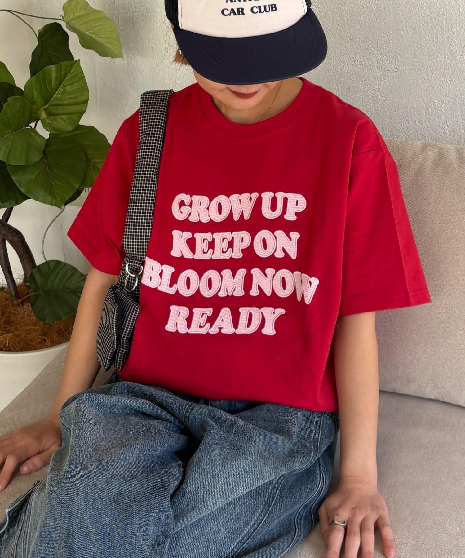 284124746