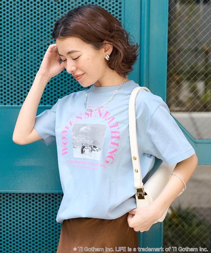 293512709