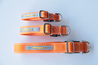 129710705