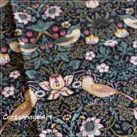 110620427