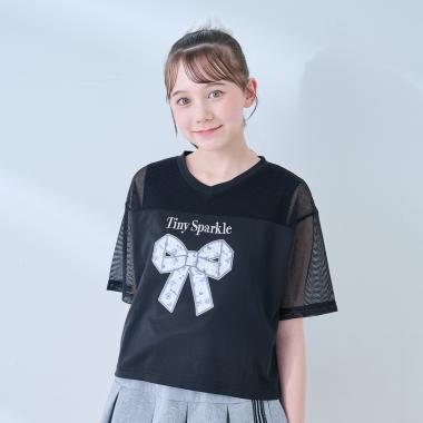 292201206