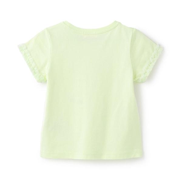162938094