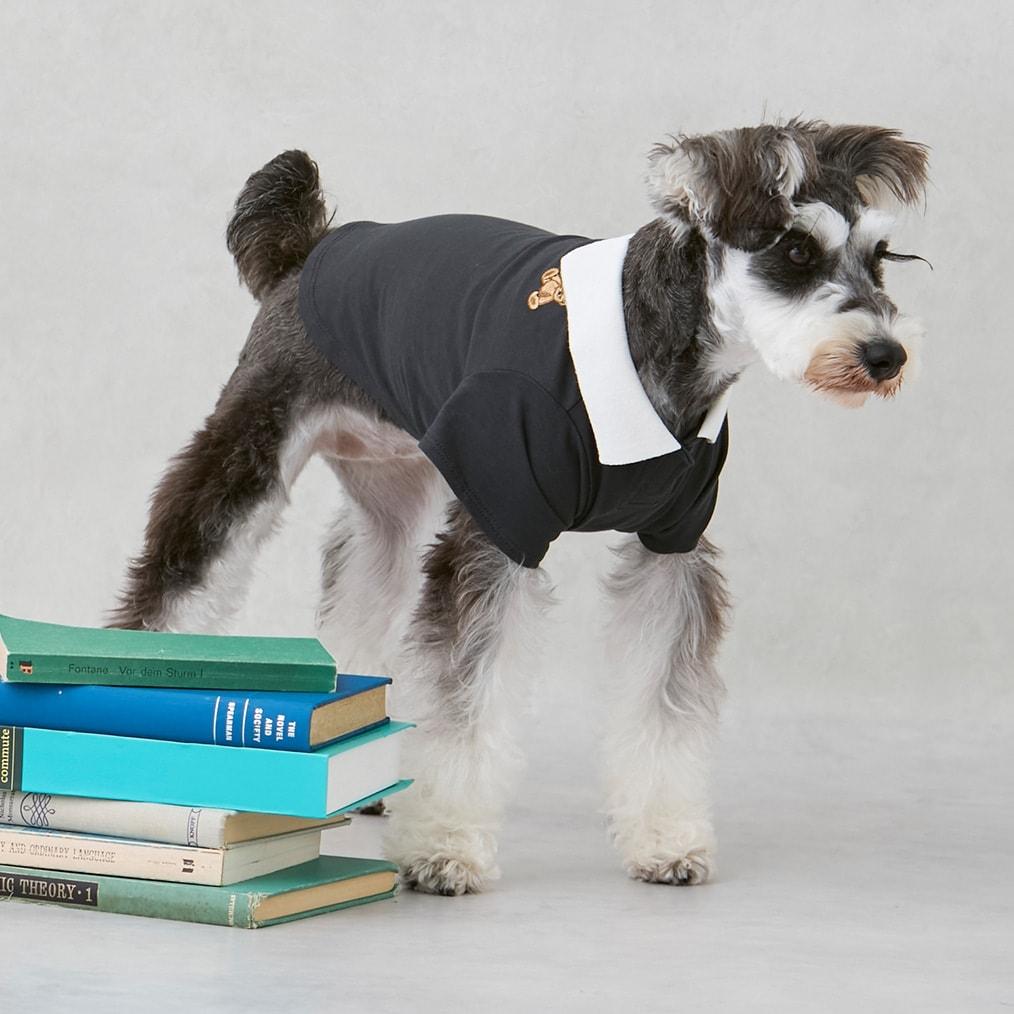 171237203