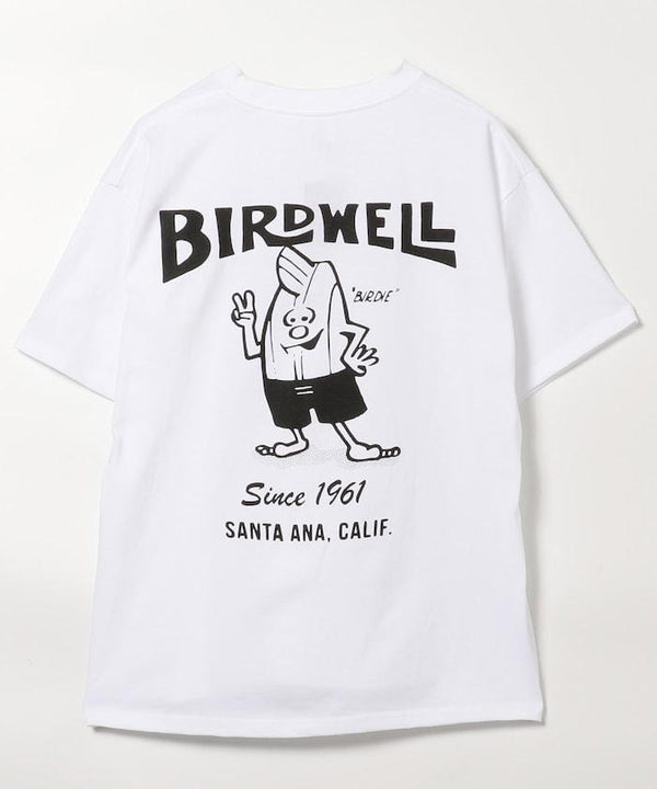 258846123