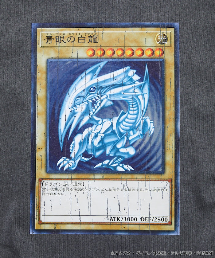 125406023