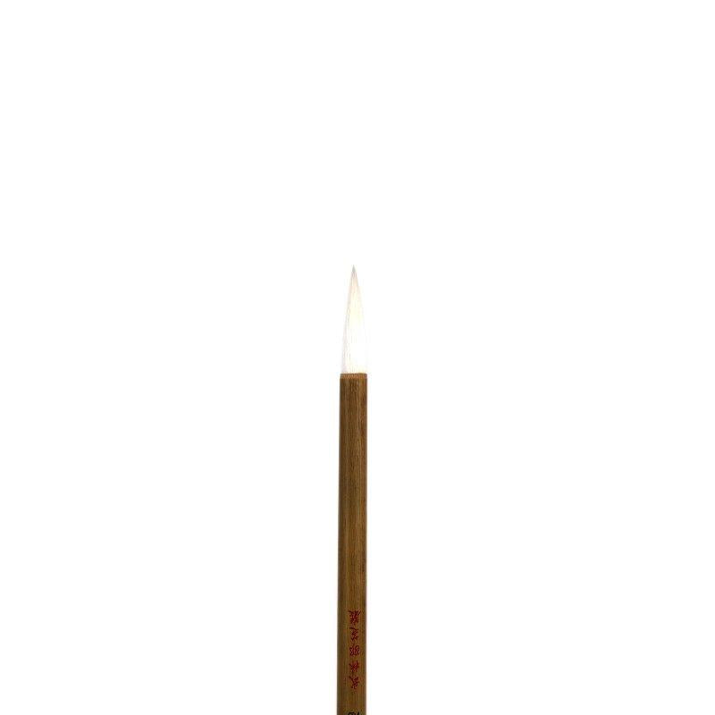 147008313