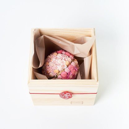 171246657