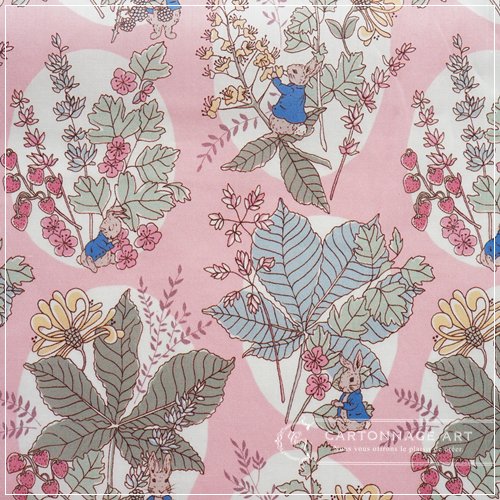 110540247