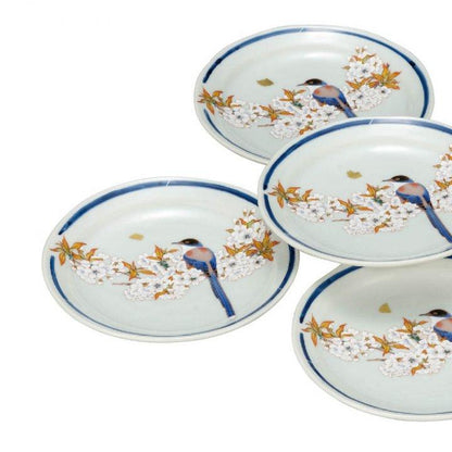 146722517