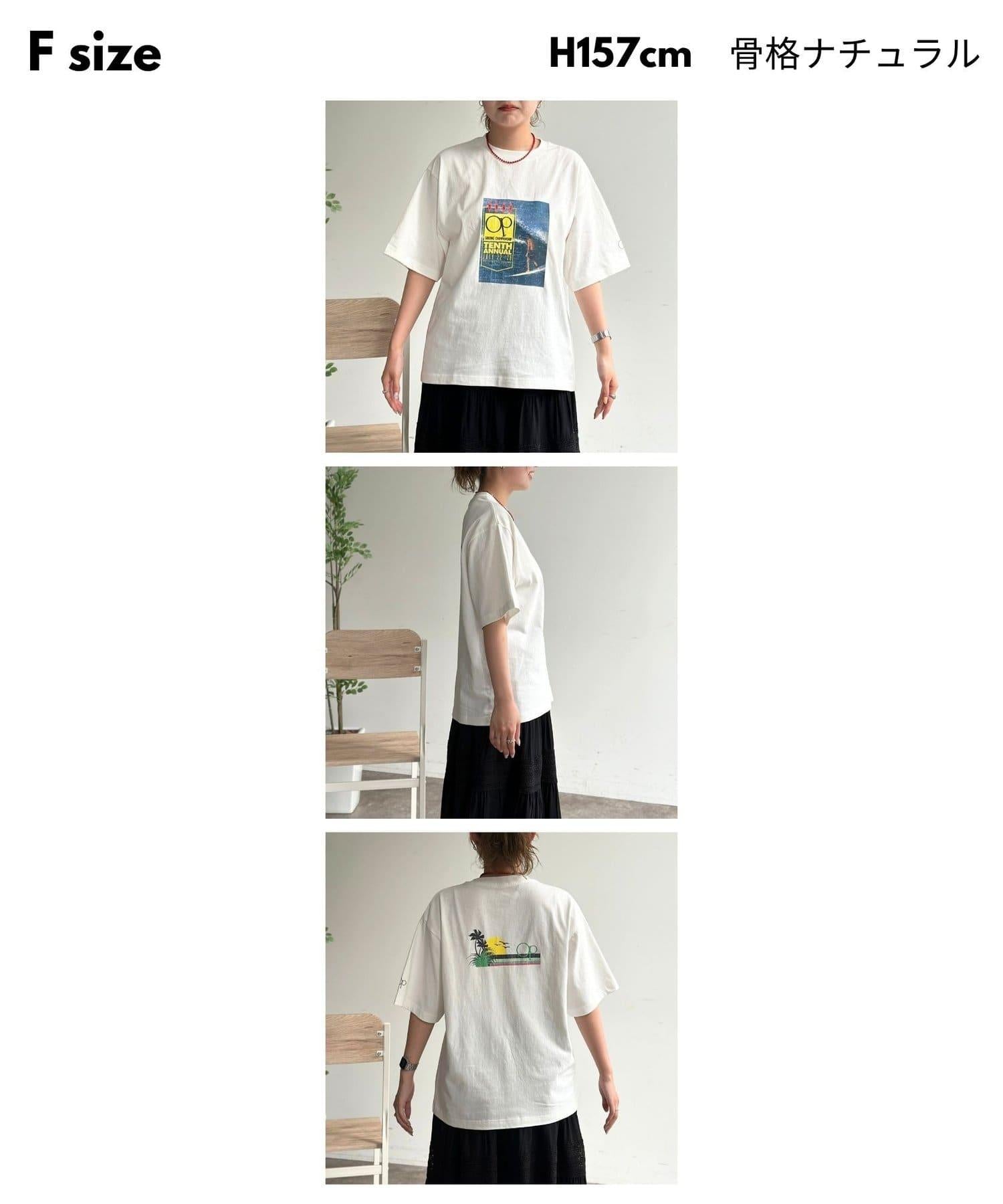 288837545