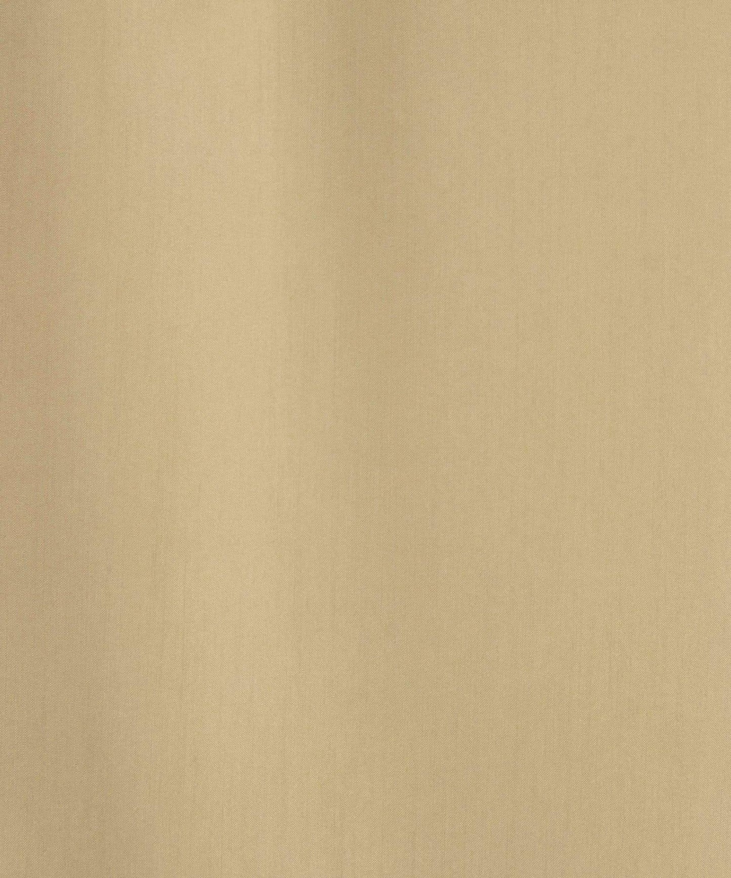 170061218