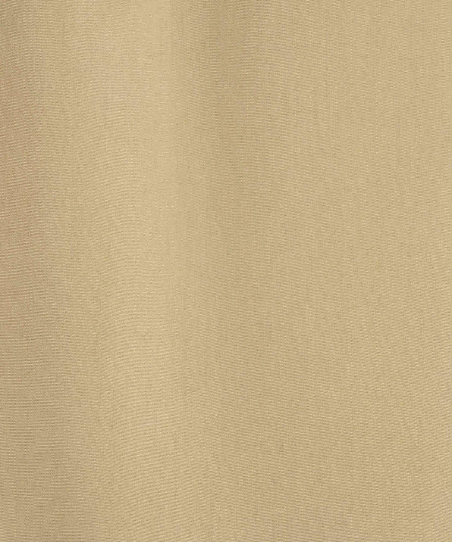 170061218