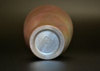 103865232
