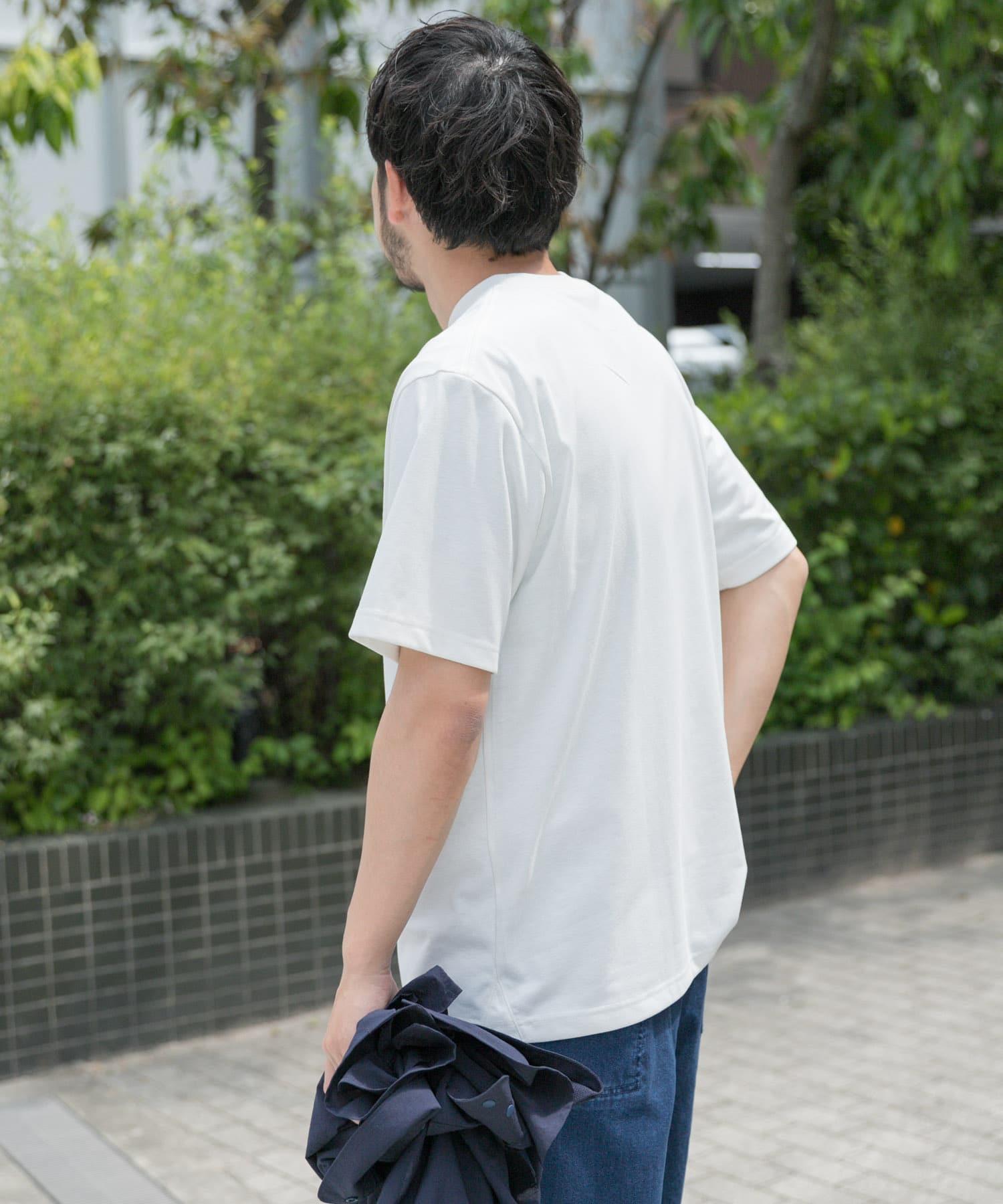 160566815