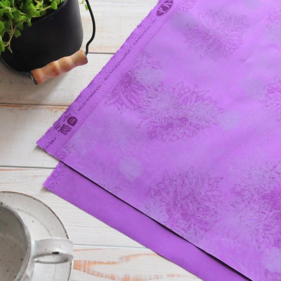 123033167