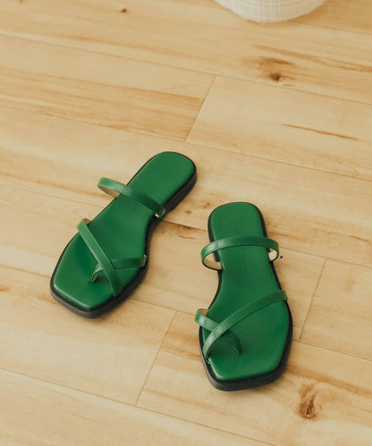 269469645