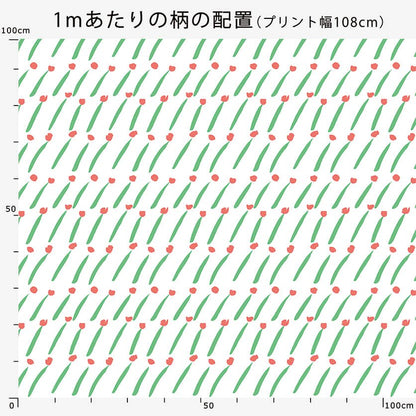 100857547