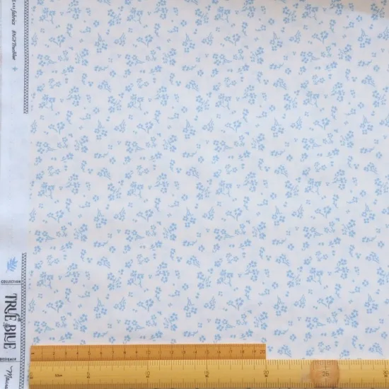 152911854