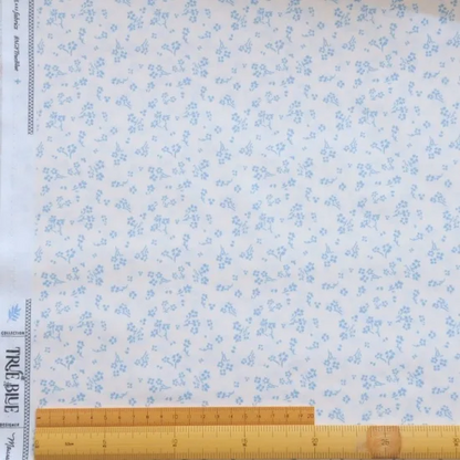 152911854
