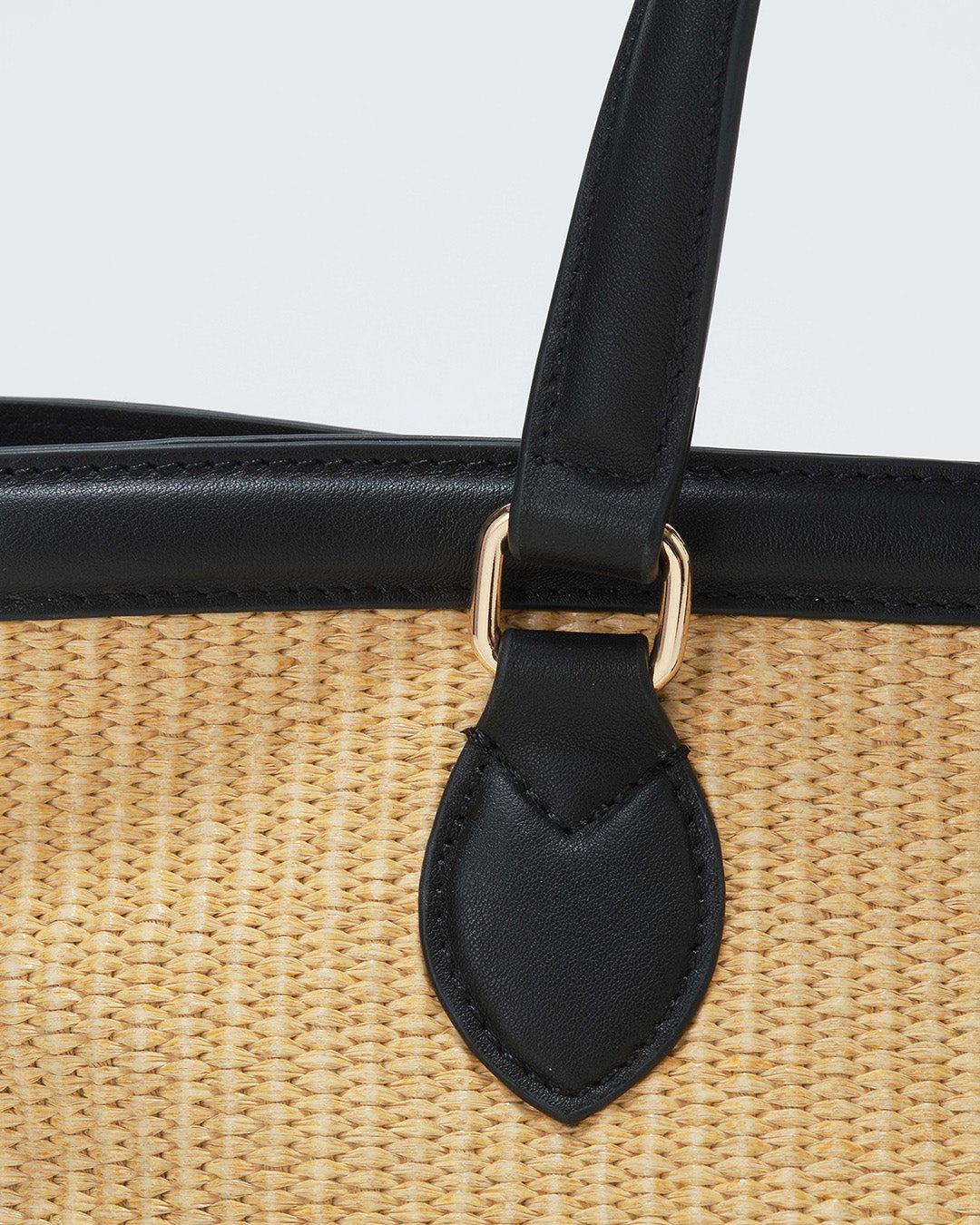 172703196