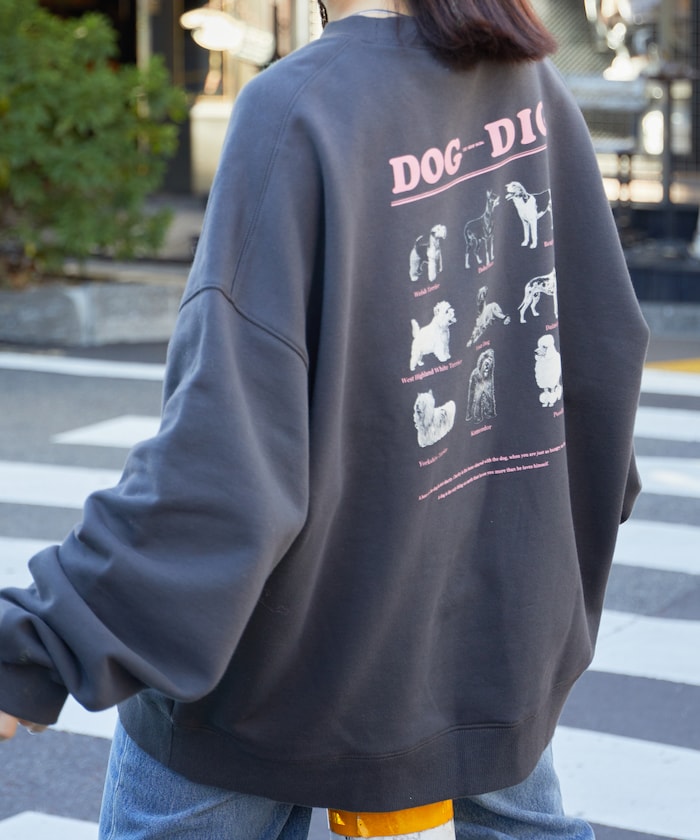 106656728