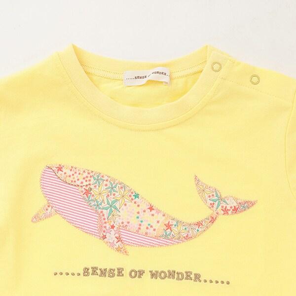 162907238