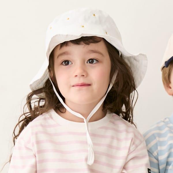 264456305