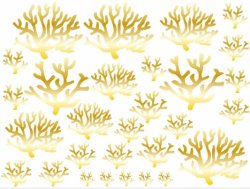 102191268