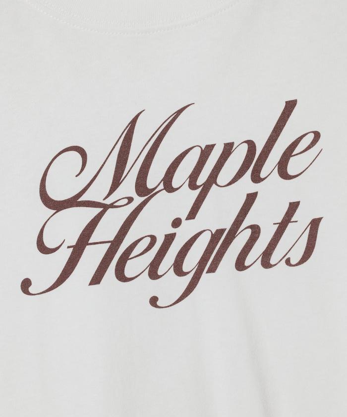 263262316