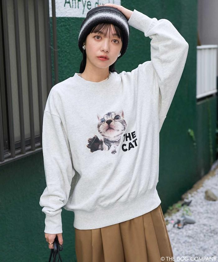 145513196