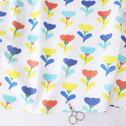100850068