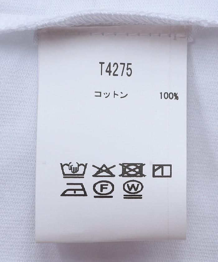 162392777