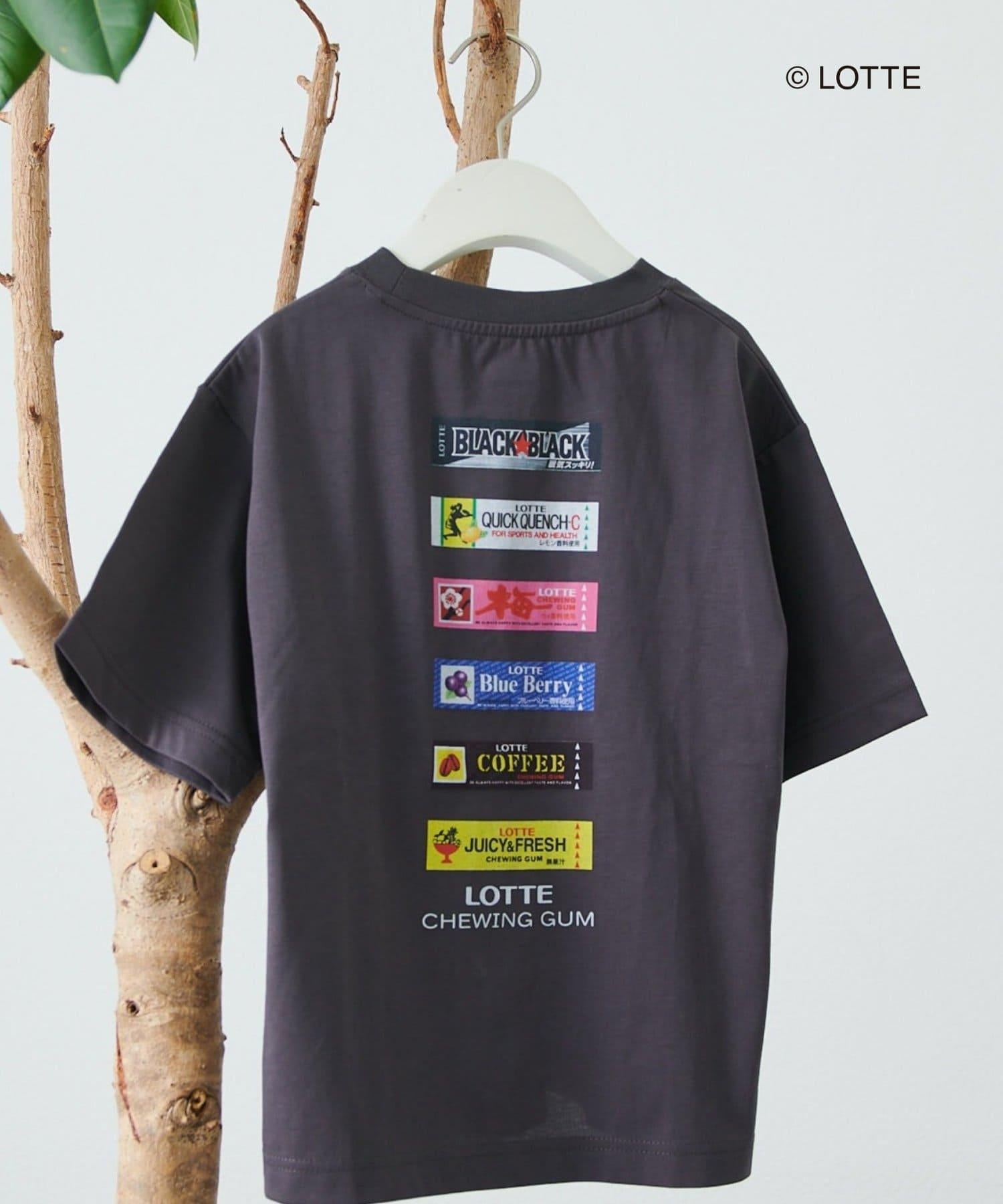291102844