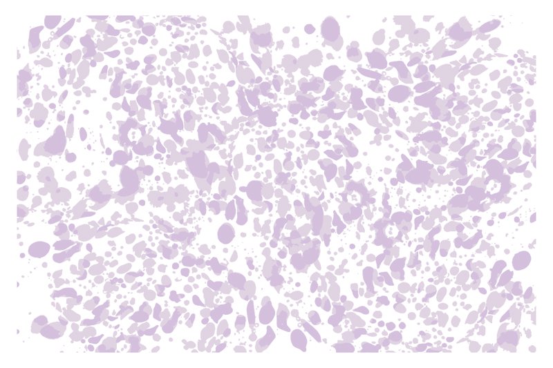 102169843