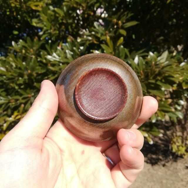 169243644