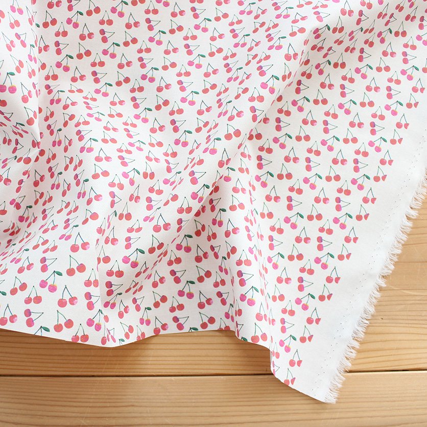 100855976