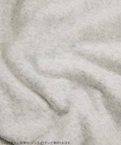 293743856