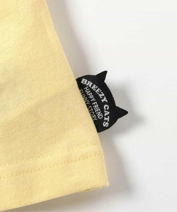 169854900