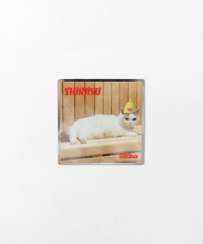 113843484