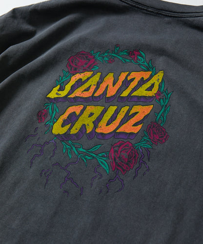 123517576